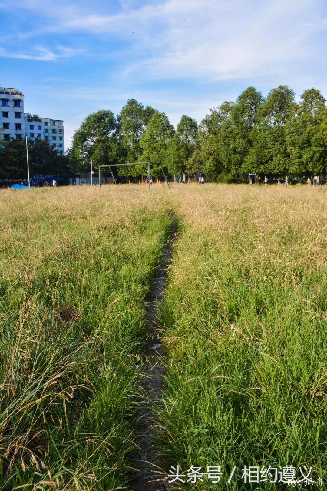 遵义八七厂的照片,遵义八七厂做什么的