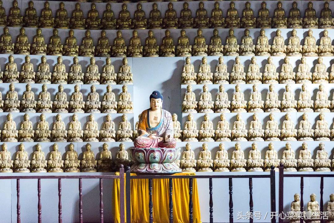 寺庙招肿瘤患者，免费吃住免费治疗