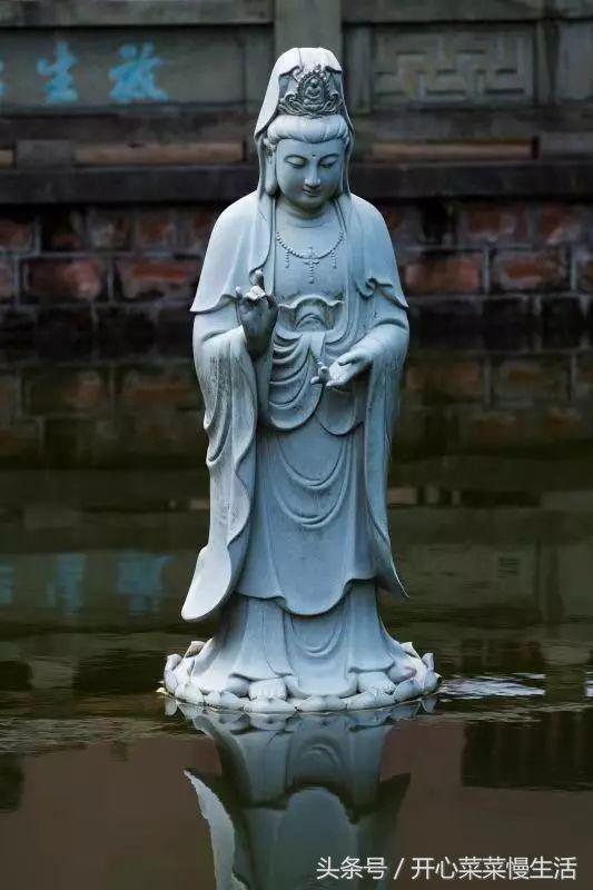 这个寺庙有点怪，只有一个和尚和百名肿瘤病人