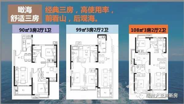 大亚湾澳头新力琥珀园,惠州大亚湾中心区新力东园