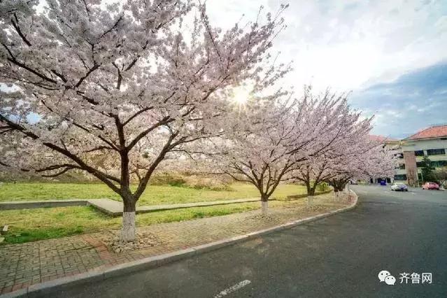 即墨地铁11号线崂山,坐崂山北宅11号线地铁到栈桥