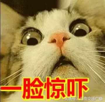 ugg出事了怎么处理,ugg被曝光视频