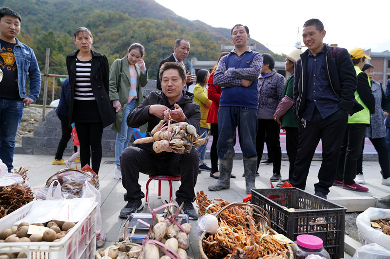 到安康白河县东坡村赶集 游客抢购山货 赏千年银杏 品乡村美食
