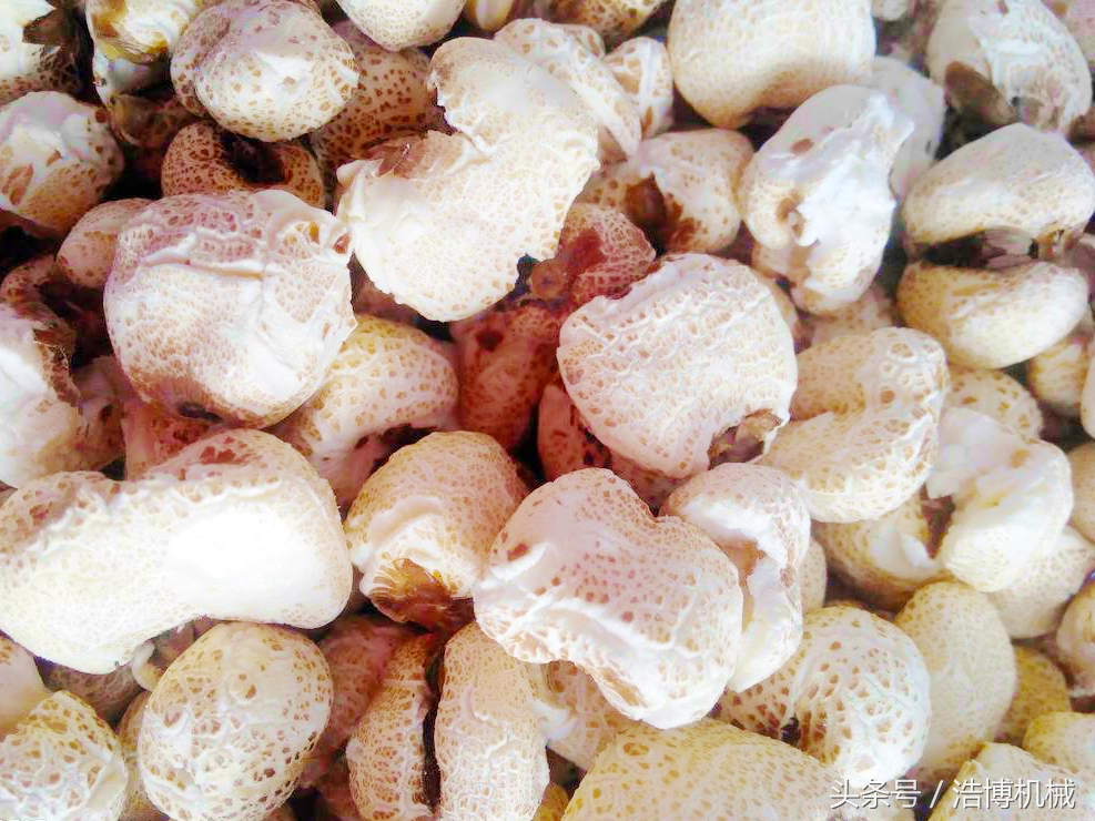 老传统全自动爆米花机,彩虹爆米花老式爆米花