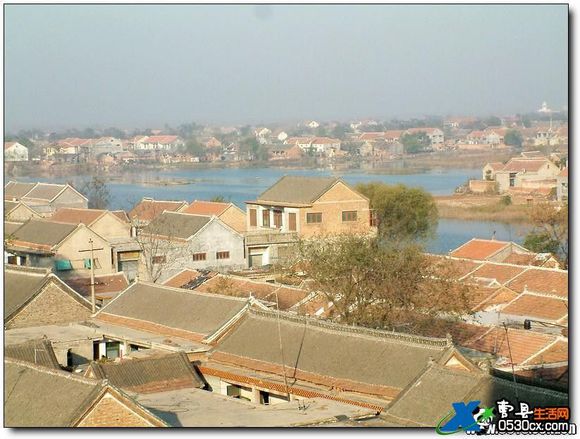 阿呆图片动图,阿呆高清图片图文