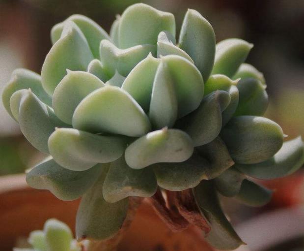 财运正旺不宜做的事,想财运旺记住这几件事