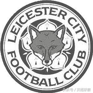 英超球队致敬维猜,英超默哀维猜