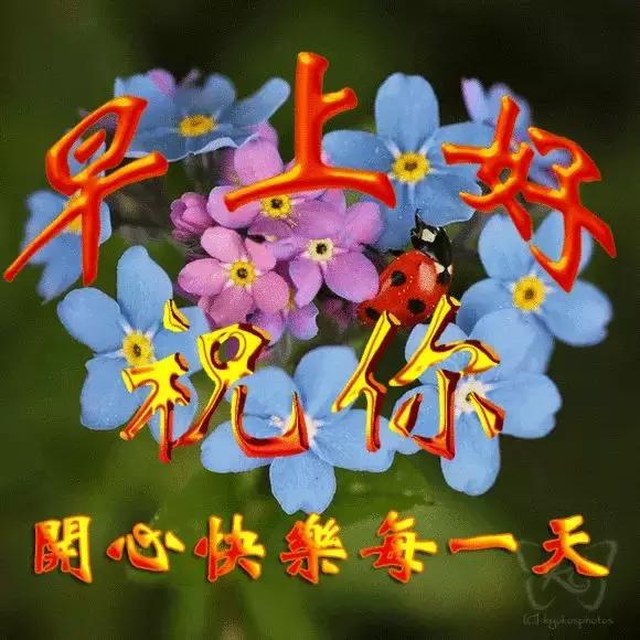 新版周五早上祝福问候动态图片,早上最好动态问候表情包