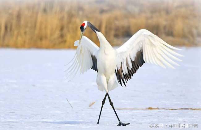 黑龙江省地形地貌与气候特征,2021年黑龙江省气候预测