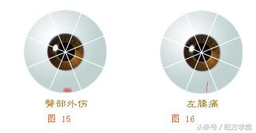 经方学习讲座,经方学堂分享