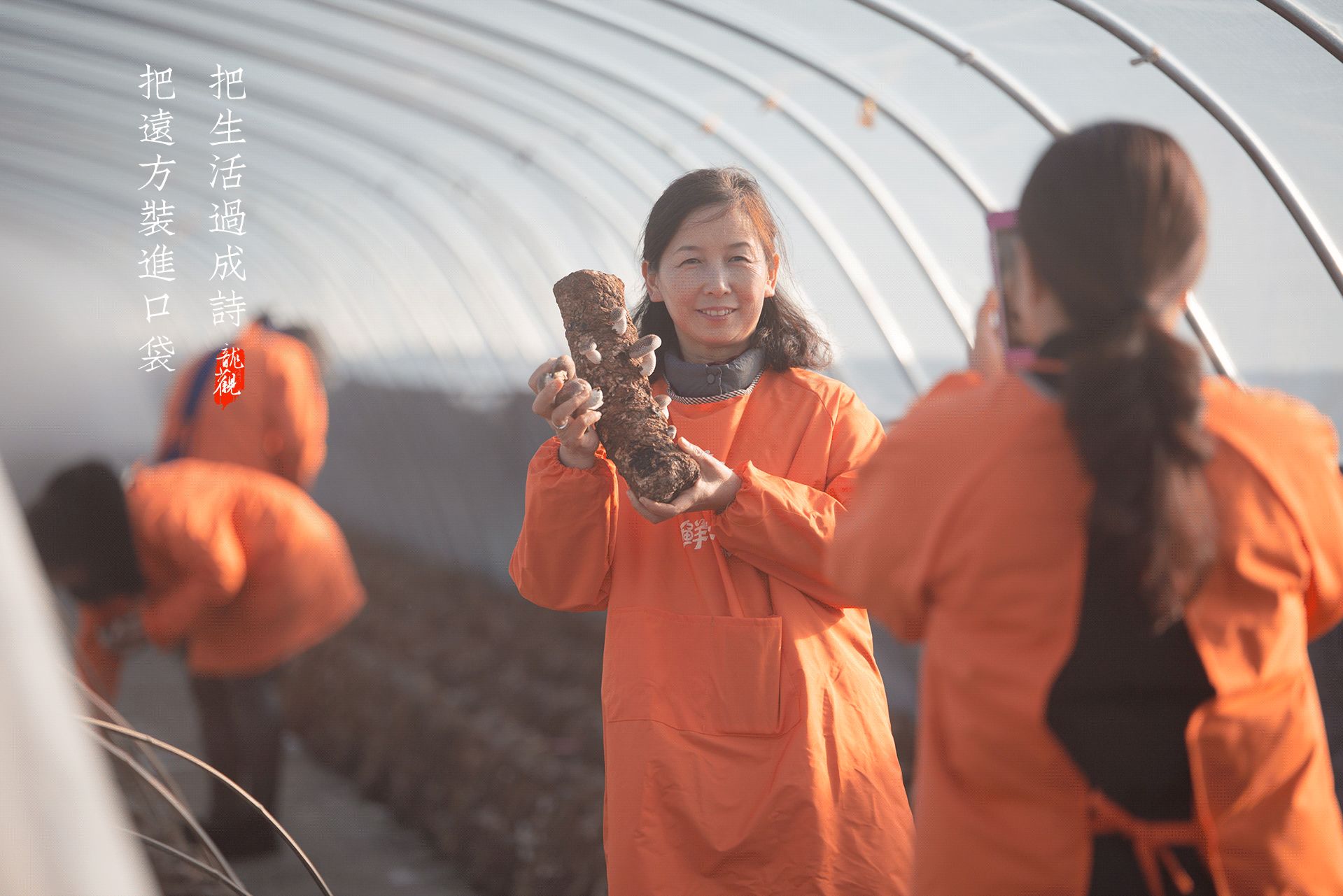把远方装进口袋，把生活过成诗，带你龙观一日游