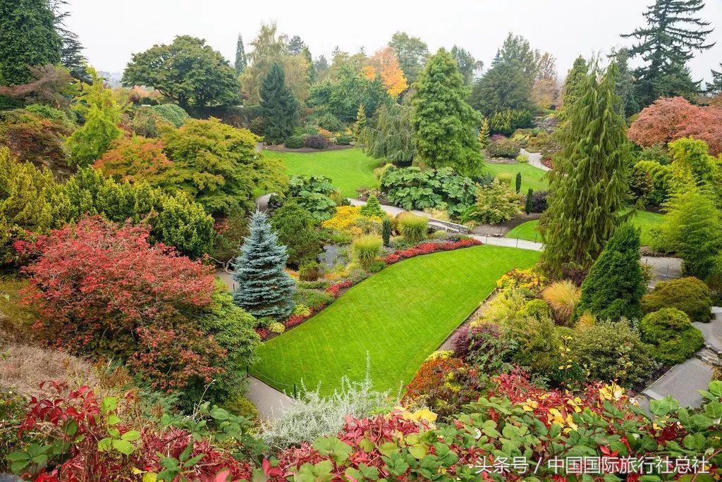 看我72变百变字母秀,看我72变改编