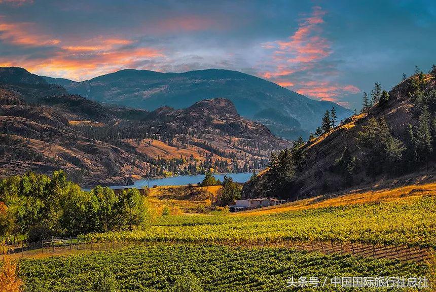 看我72变百变字母秀,看我72变改编