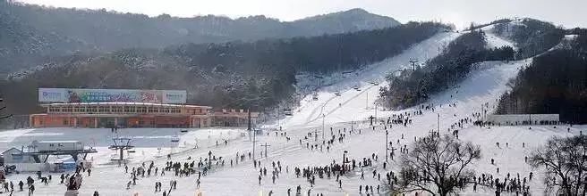 沈阳市东北亚滑雪场,沈阳东北亚滑雪场门票