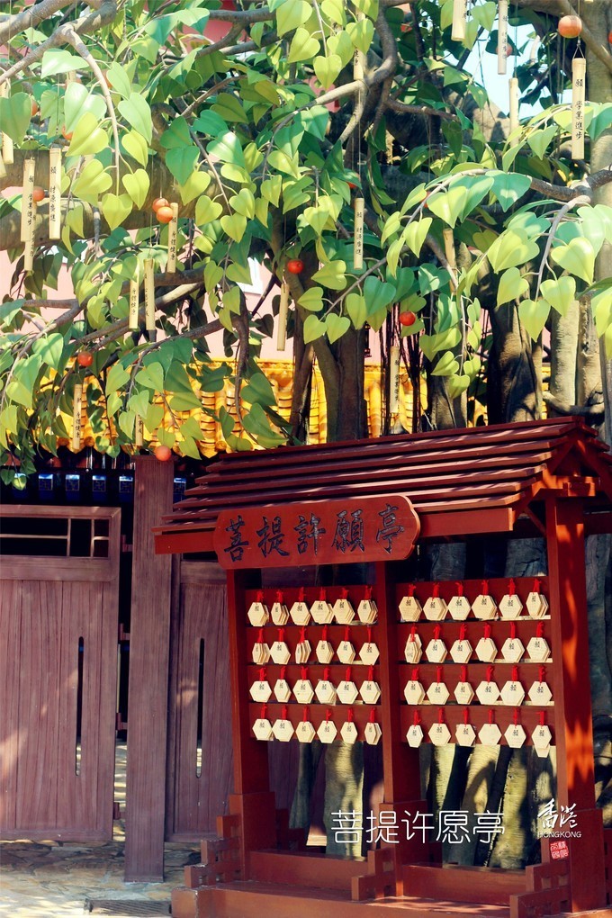 东方之珠浪漫依然,东方之珠粤语香港回归