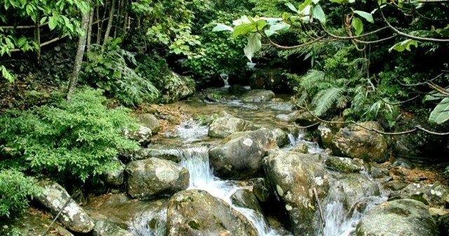 客家米酒酿造的全过程,客家酿米酒的制作方法