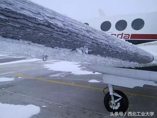 西工大黑科技丨一片竹叶,让他们做出了“飞机贴膜”