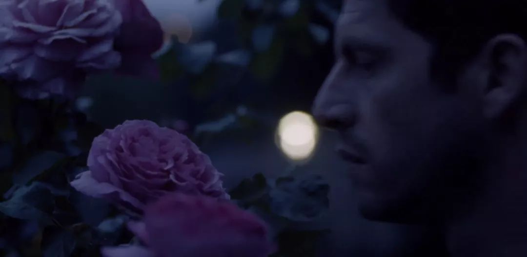 年度最佳同志题材电影《喜欢，轻吻，快跑》，小清新却大尺度？