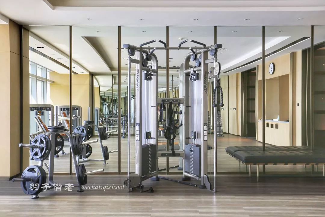 佛山罗浮宫索菲特酒店高山流水,佛山索菲特罗浮宫酒店附近美食