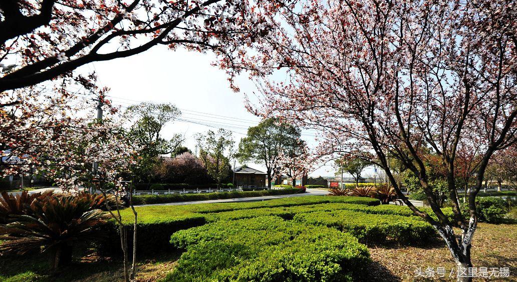 无锡正在消失的古村,无锡的真实村庄