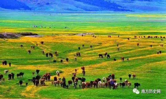 中国各地适合送礼特产一览表,全国各地零食特产一览表