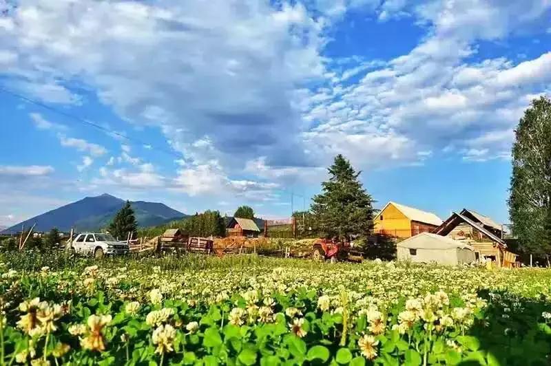 民宿短租成掘金新途径：五六十平米小屋月入可过万