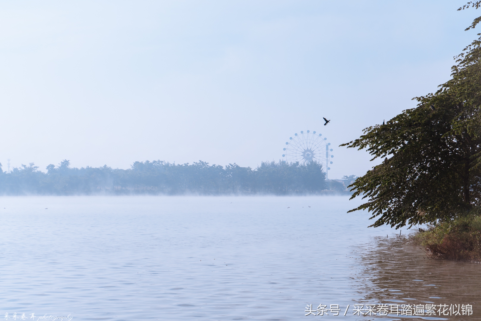 瑞丽最值得去的地方,瑞丽网红打卡地弄莫湖