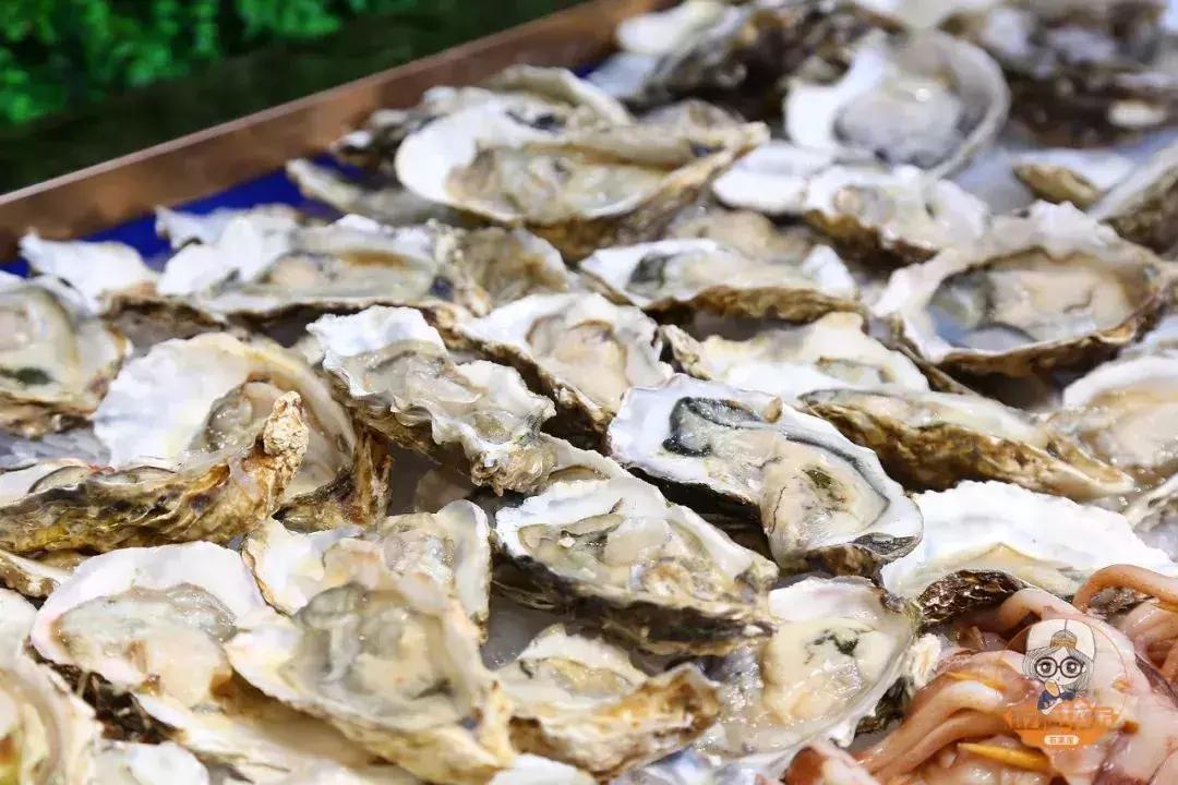 石家庄好吃的日式铁板烧,石家庄好吃的特色铁板烧