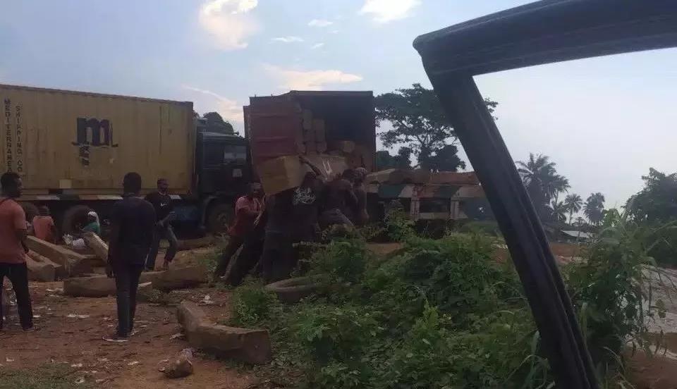 非洲花梨木2008年什么价？老红木人的回忆，惊醒无数人！