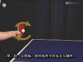 新手也能学会的乒乓球必杀技,乒乓球必学的17种打法