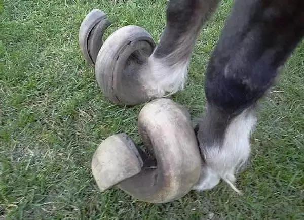 新版天龙八部萧峰进中原,天龙八部决战少室山乔峰详细攻略