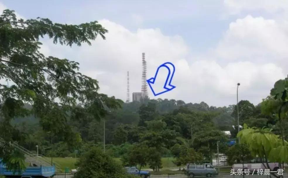 浦东与新加坡人口密度,新加坡面积与人口密度