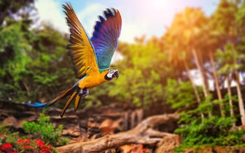 炫酷的网页模板,炫酷的网页