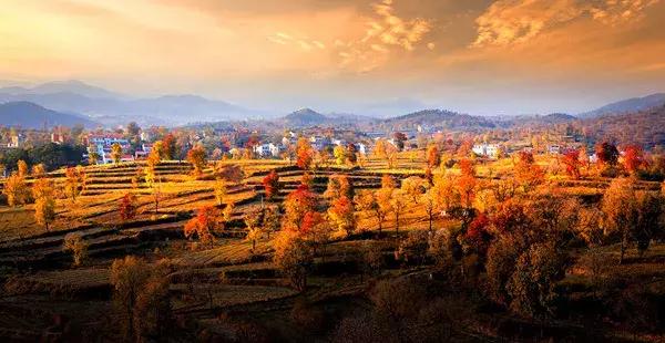 大悟,一个和婺源相媲美的地方,等了一整年的最红秋色终于来了!