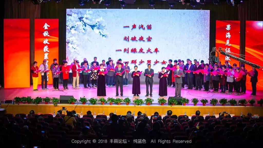 知青回沙河完整视频,北京沙河知青