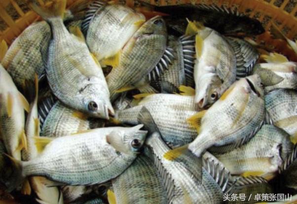 海钓一次大概花费多少钱,海钓一次多少钱视频