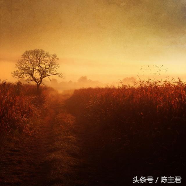 70张让人大开眼界的照片,50张让人惊艳的照片