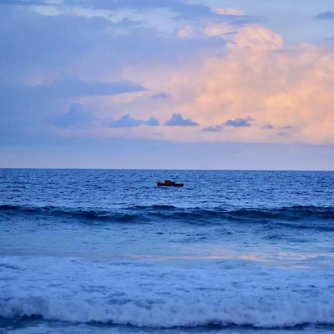 鲨鱼海豚亲子游攻略 (凤岭水世界游玩攻略)