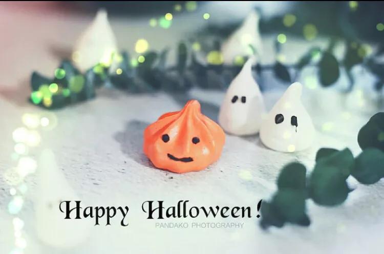 宝宝巴士万圣节不给糖果就捣蛋,万圣节不给糖果就捣蛋