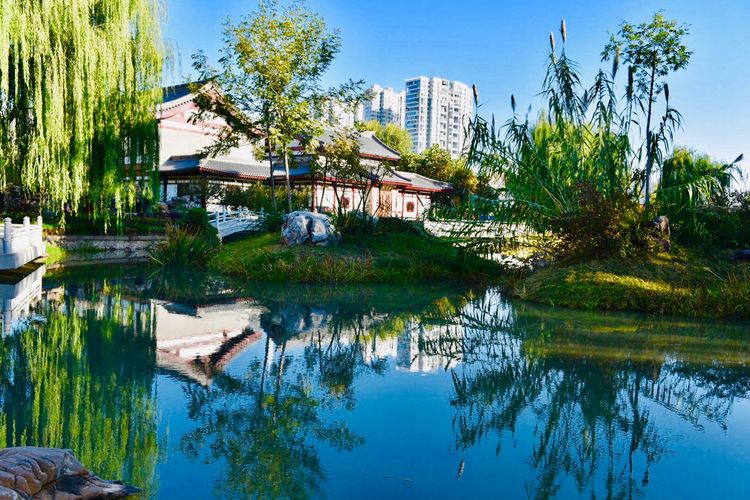 秋到上阳宫，黄叶蓝天高宫阙，皇帝都赞的美景，免费你都没去看？