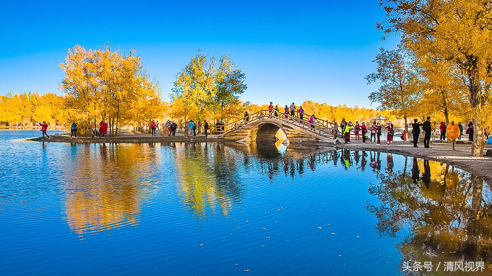 三千年守候额济纳完整版,大美金塔胡杨林