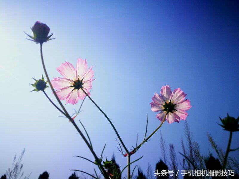 努比亚x刷miui怎么切换副屏,努比亚x和vivo双屏版哪个值得买