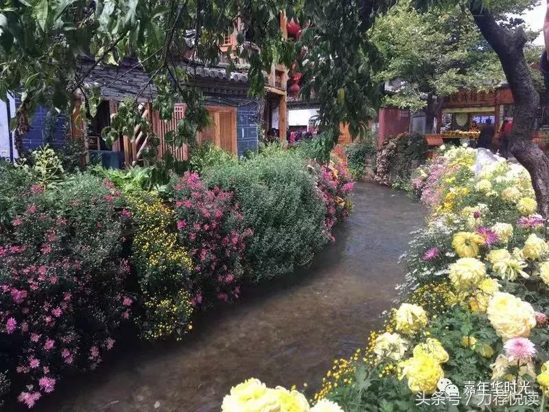 瑁村穽琛楄垶姹囨姤琛ㄦ紨,瑁村穽