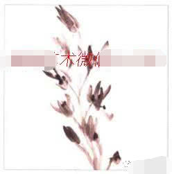 写意兰花的基本画法视频,写意兰花的画法技法视频