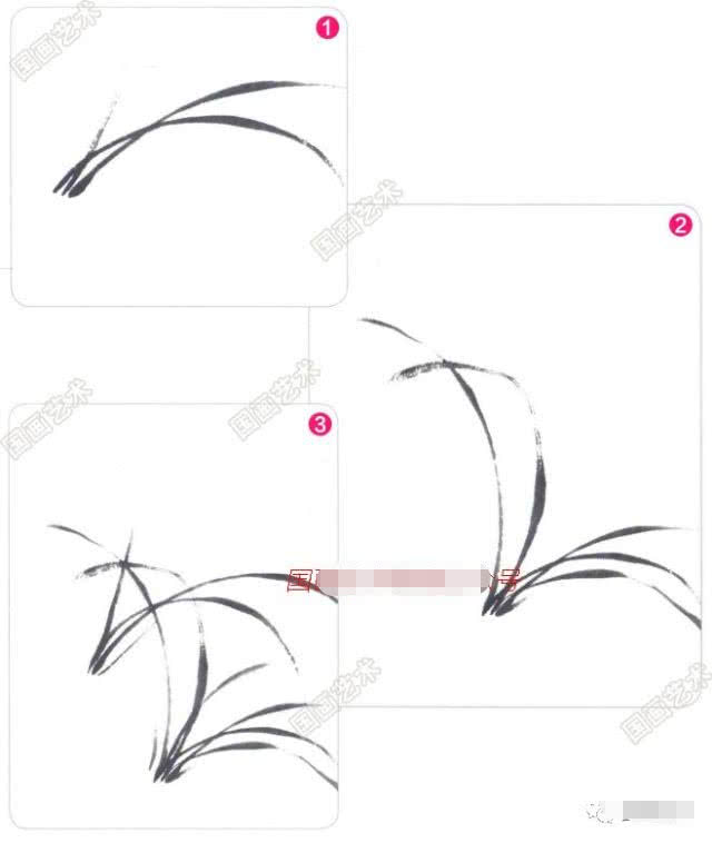 写意兰花的基本画法视频,写意兰花的画法技法视频