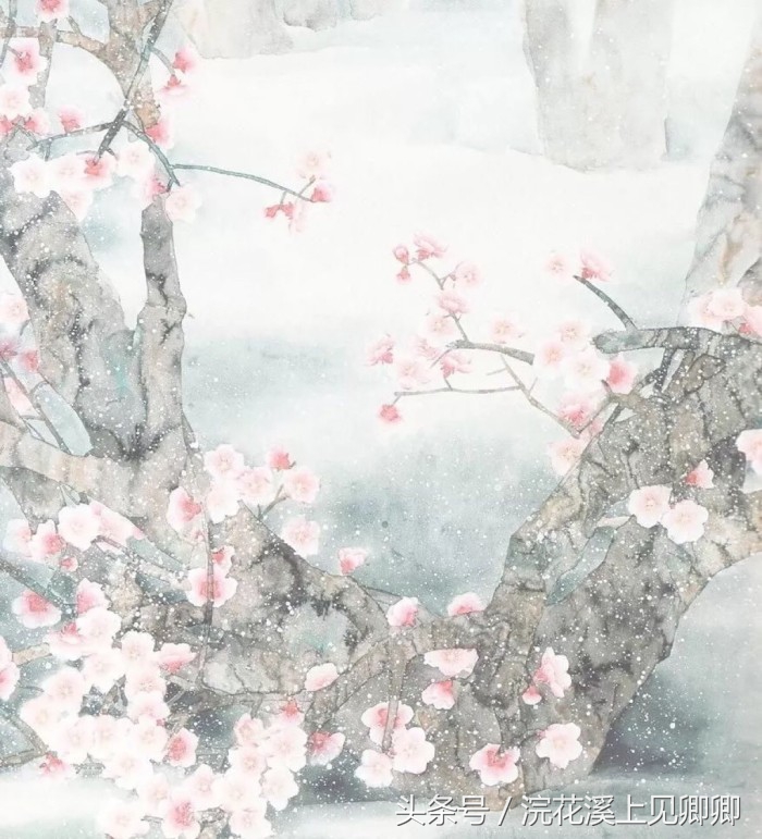 似花还似非花下句是什么,似花还似非花全诗的情感