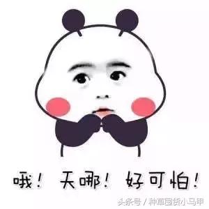 很火的洁面仪,超级好用的洁面仪