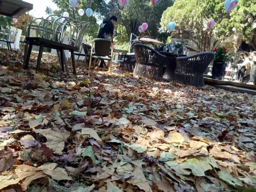 青岛网红打卡地高清图片,青岛网红打卡景点大全