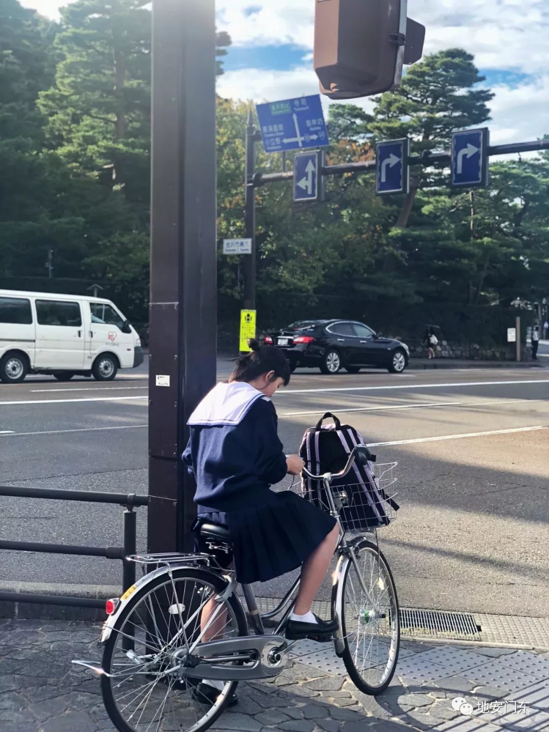 日本高品质小锦鲤,日本金泽市北陆