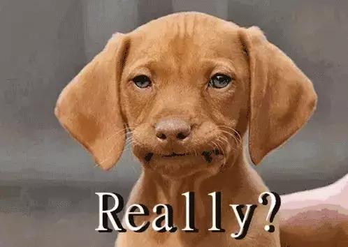 在阅读中遇到生词怎么办,阅读时遇到生词时有什么招能对付